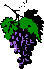 Vintage Grapes